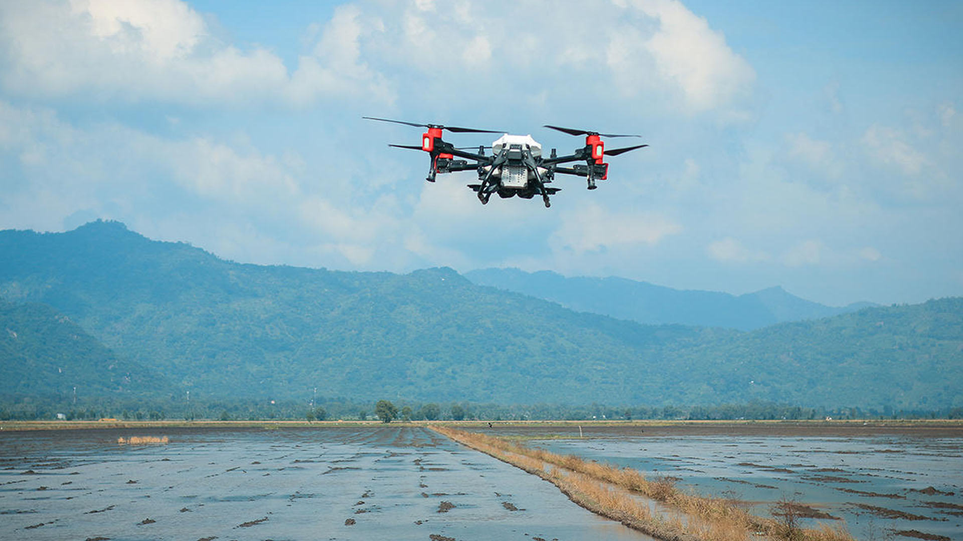 Fumigación Agrícola con Dron